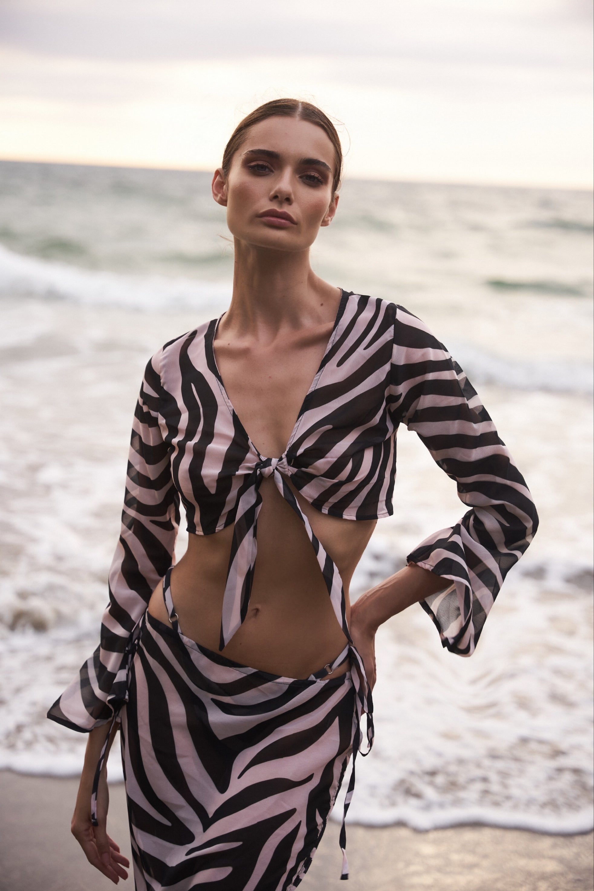 ZEBRA SET